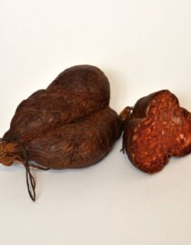 Кулен у природном цреву